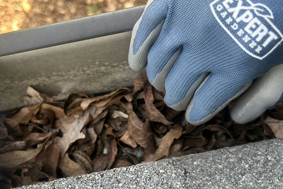 Gutter Cleaning Elton